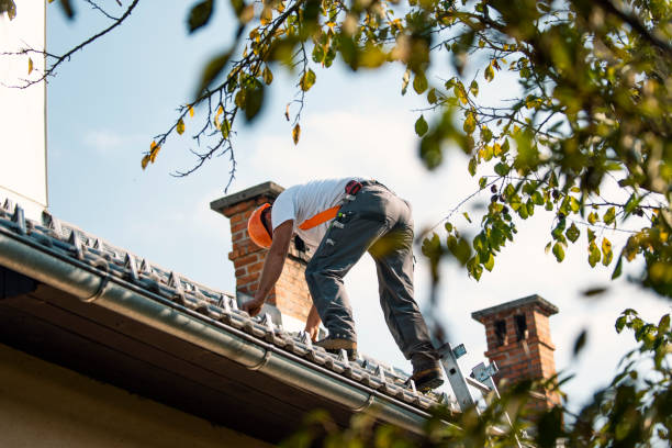 Professional Roofing Services in Prairie Grove, AR